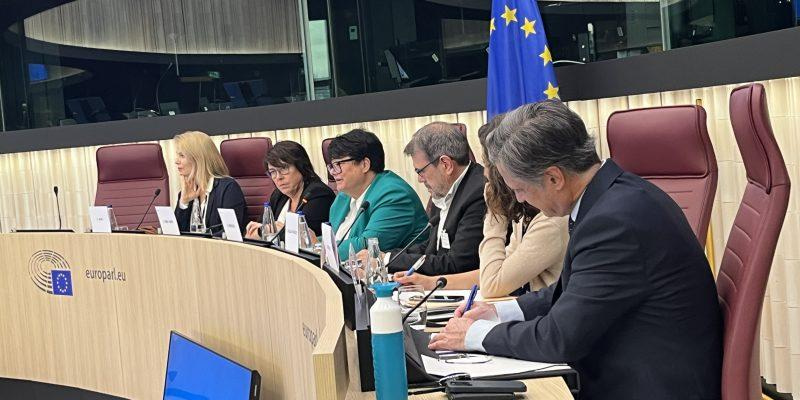 Dublin Inherits a Divided Fight Over Europe’s Long-Term Budget