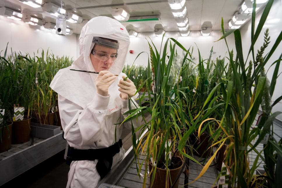Farmers Await Europe's Gene Editing Rules for Crops