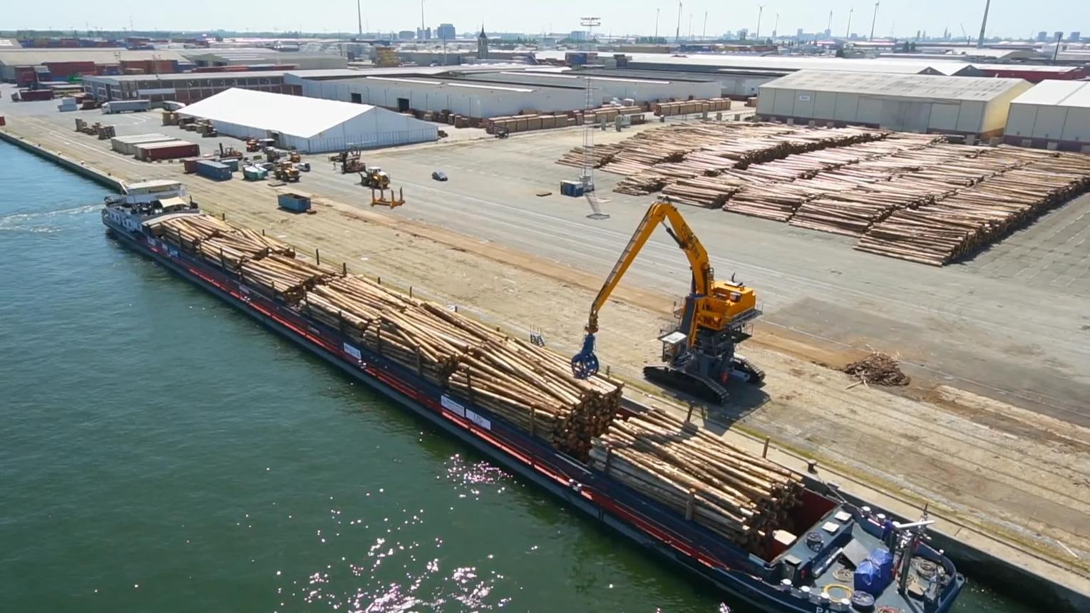 Timber Importers Steel for the December Deforestation Rules Timber Importers Steel for the December Deforestation Rules