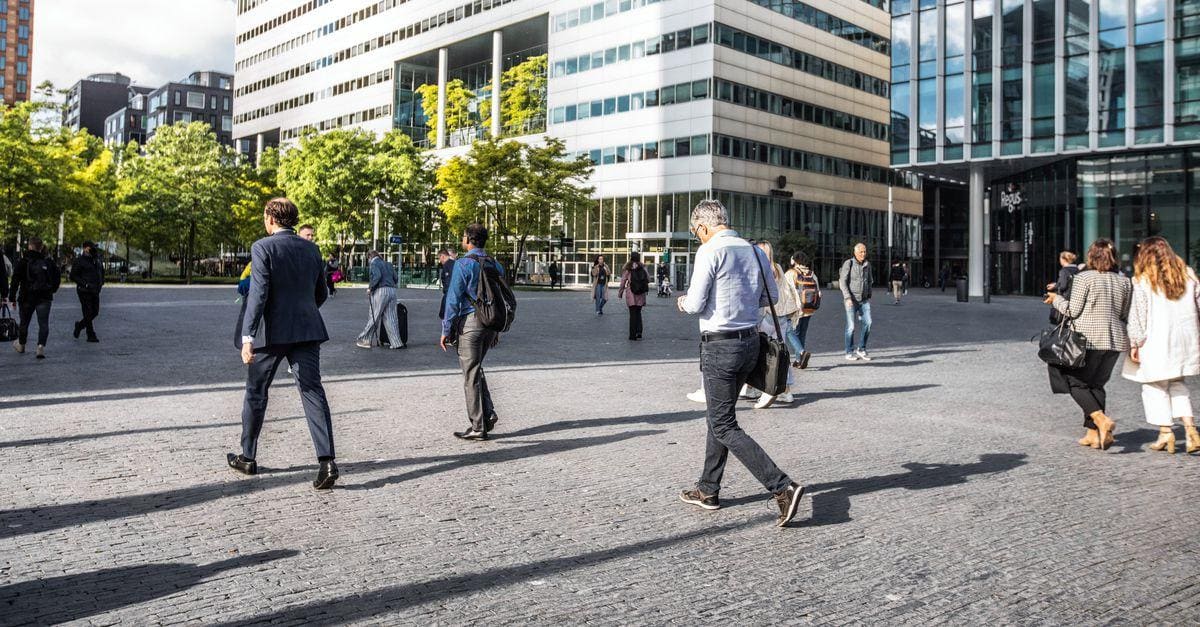 Unemployment Rate Holds at 6.2% Even as the Jobs Market Cools