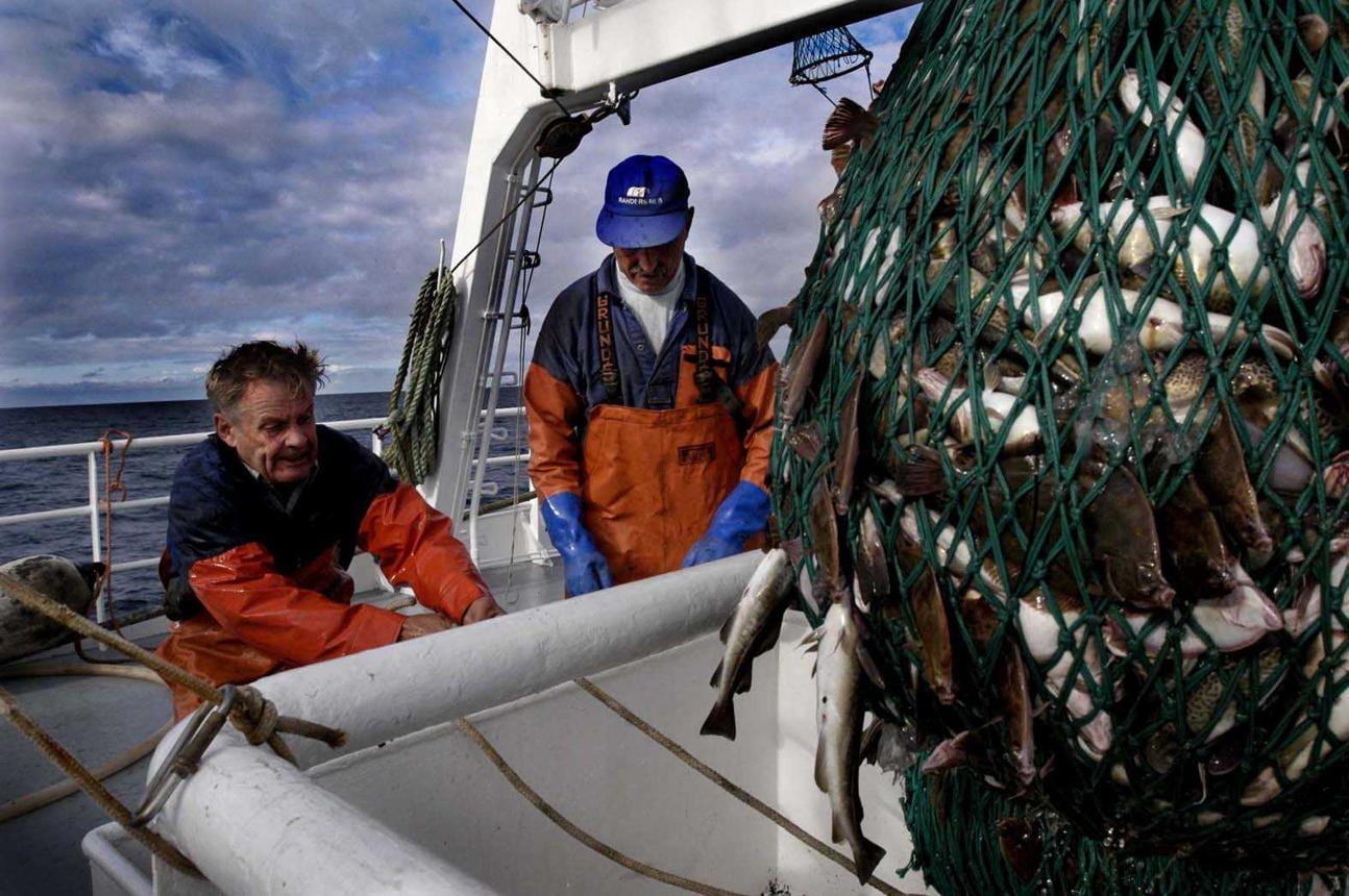 Baltic Cod Stays Off Limits as Recovery Drags On Baltic Cod Stays Off Limits as Recovery Drags On