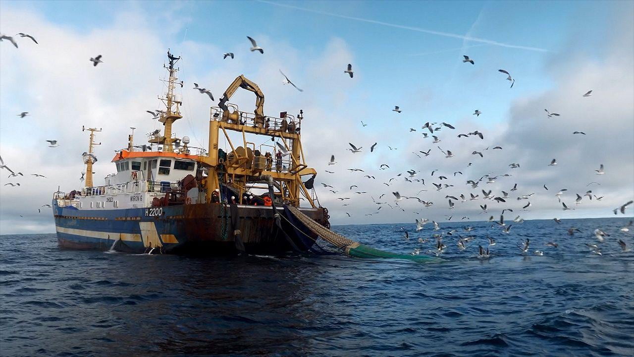Baltic Quotas Split Sharply Between Herring and Cod for 2027 Baltic Quotas Split Sharply Between Herring and Cod for 2027
