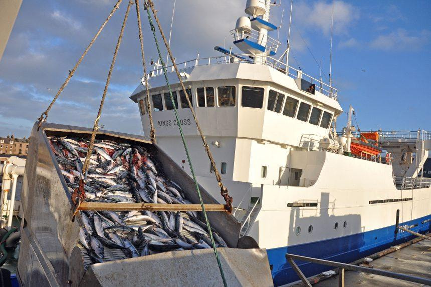 Catch Weighing Rules Replace 44 National Plans Across the EU Catch Weighing Rules Replace 44 National Plans Across the EU