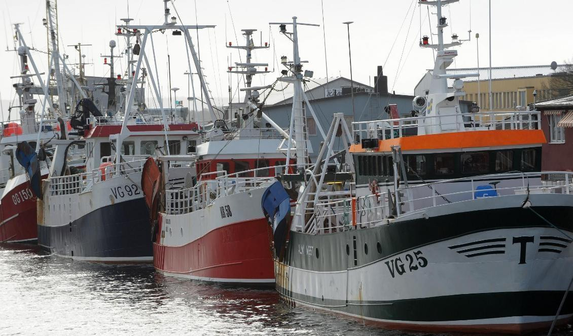 Cod Bycatch Falls 88 Percent as Baltic Herring Quotas Rebound Cod Bycatch Falls 88 Percent as Baltic Herring Quotas Rebound