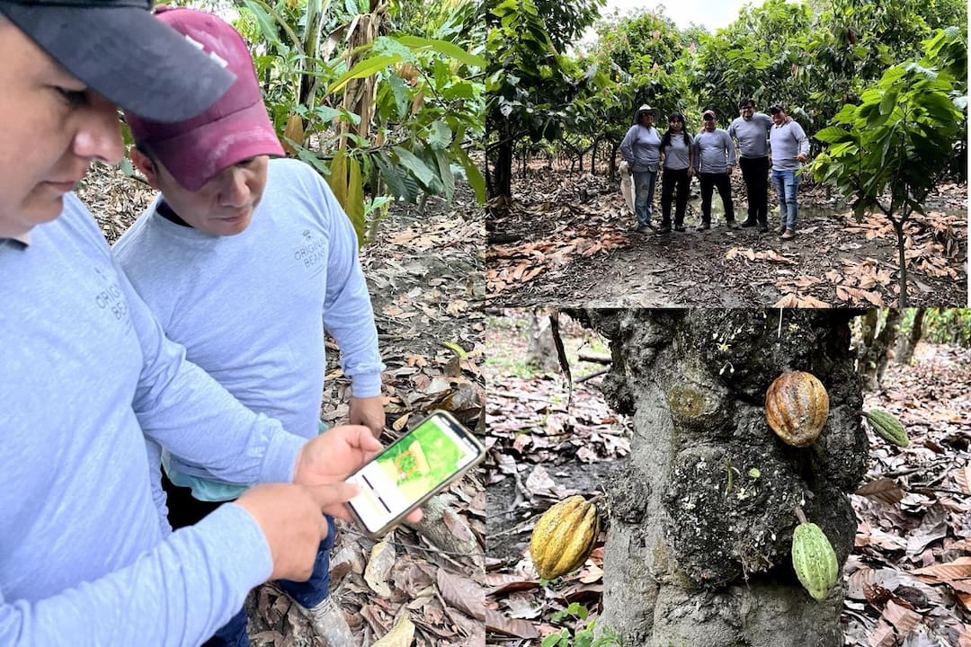 Deforestation Law Faces a Fresh Revolt Over Risk Lists Deforestation Law Faces a Fresh Revolt Over Risk Lists