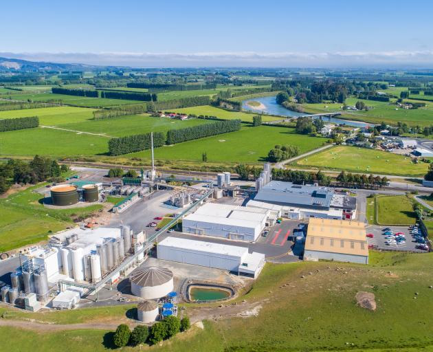 Empty Cheese Quotas Show the Limits of New Zealand Trade Empty Cheese Quotas Show the Limits of New Zealand Trade