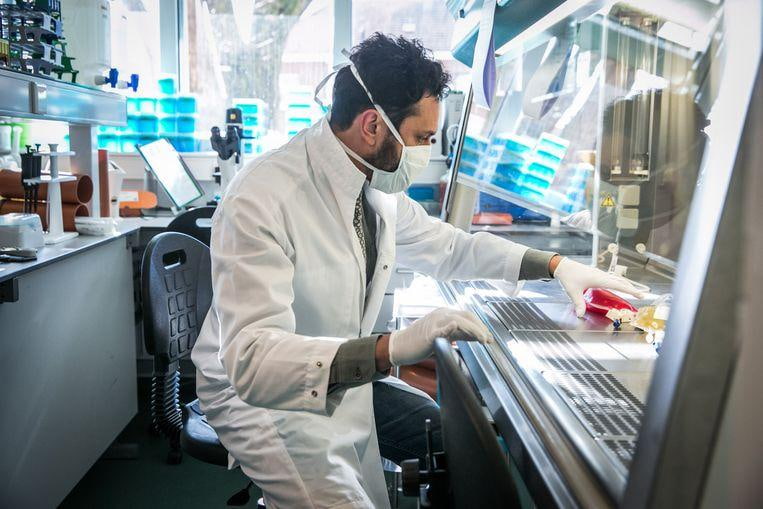 Europe Split Its Biotech Law and Part Two Is Still Missing