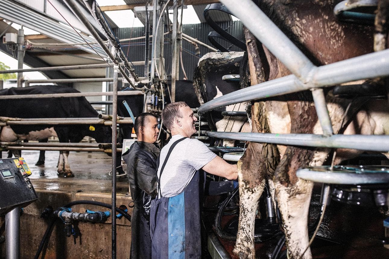 European Dairy Exporters Reckon With China’s Punishing Tariffs