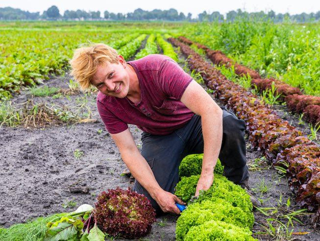 Farm Promotion Budget Climbs to 205 Million for 2026