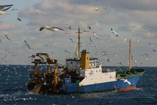 Fishing Fleets Back a Ban on Deep-Sea Mining as Ocean Act Nears