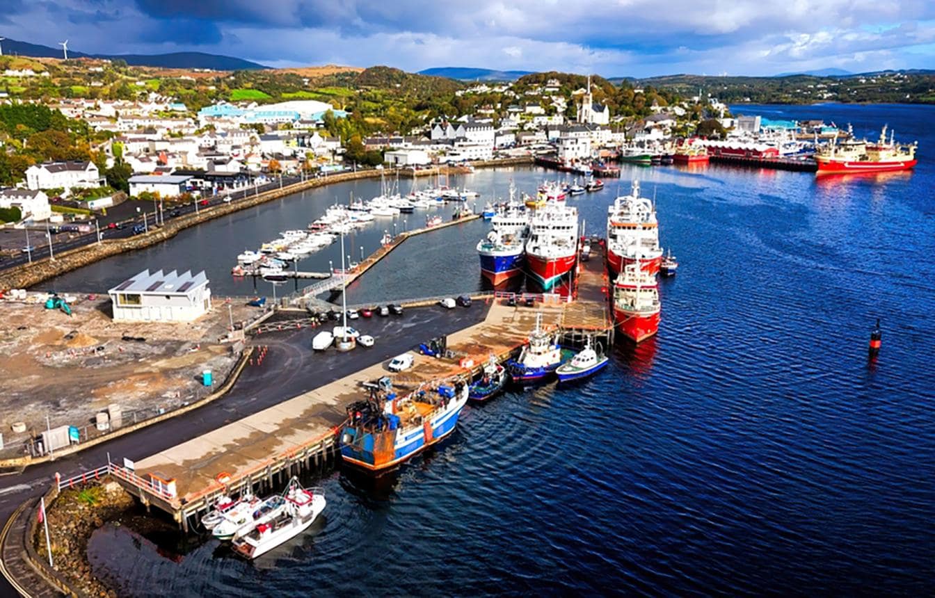 Mackerel Catch Limits Fall 48% as Atlantic Stocks Keep Sliding