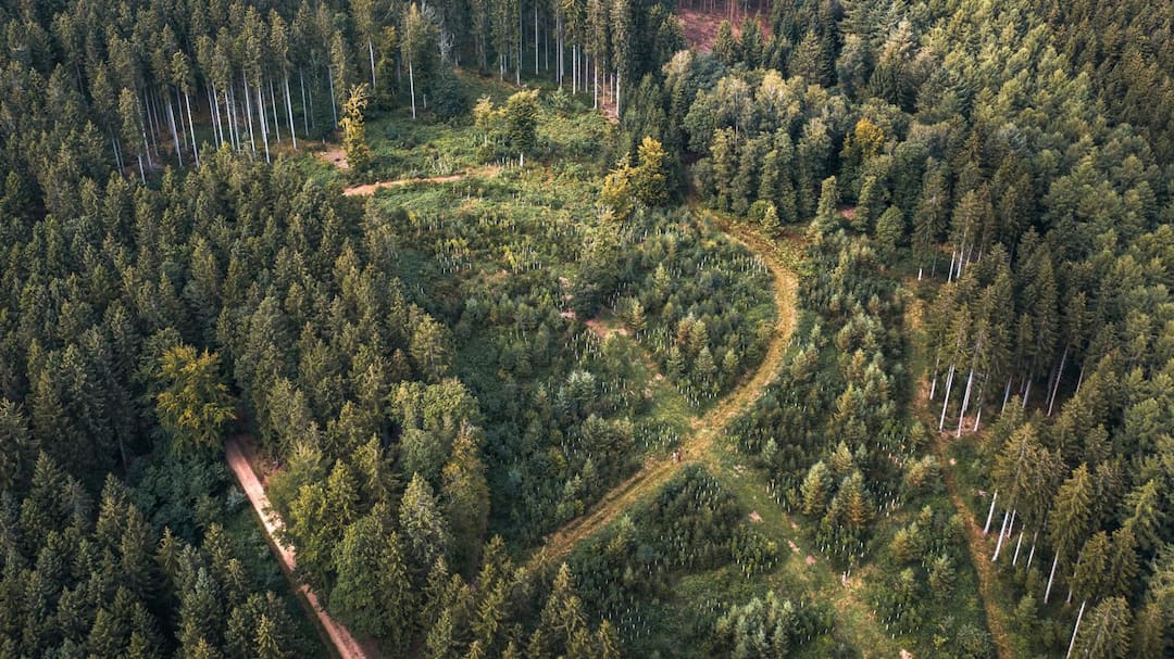 Nature Restoration Plans Come Due as Capitals Race a September Cutoff Nature Restoration Plans Come Due as Capitals Race a September Cutoff