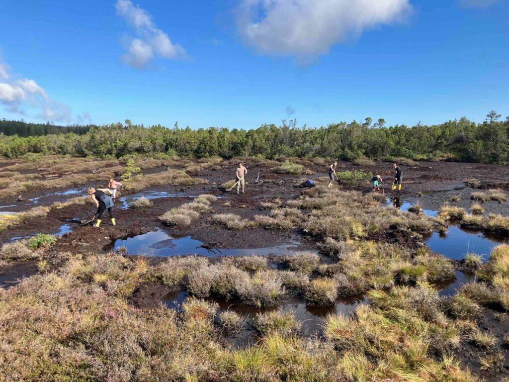 Nature Restoration Plans Come Due as Capitals Race the Clock Nature Restoration Plans Come Due as Capitals Race the Clock