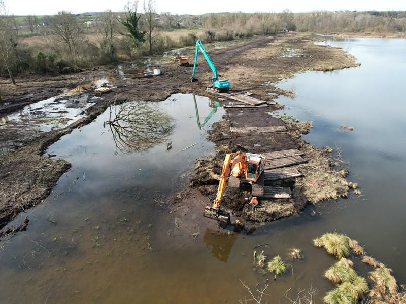Nature Restoration Plans Come Due as Member States Race a Deadline