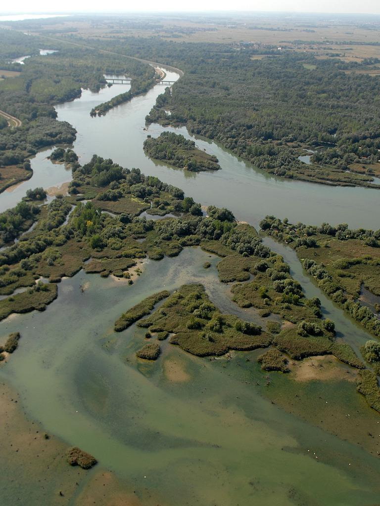 Nature Restoration Plans Land on Member States Desks This Summer