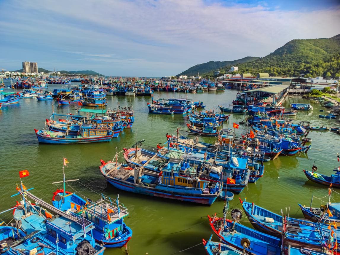 Nine Years On Vietnam Still Cannot Shake Europe's Fishing Card Nine Years On Vietnam Still Cannot Shake Europe's Fishing Card