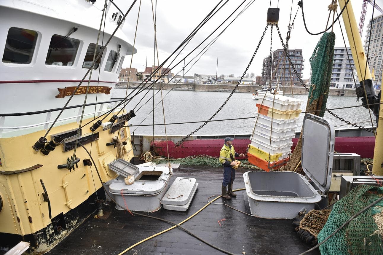 Paperless Certificates Tighten the Net on Illegal Fishing