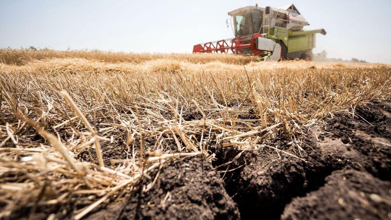 Parched Fields Force the EU to Slash Its Harvest Outlook Parched Fields Force the EU to Slash Its Harvest Outlook