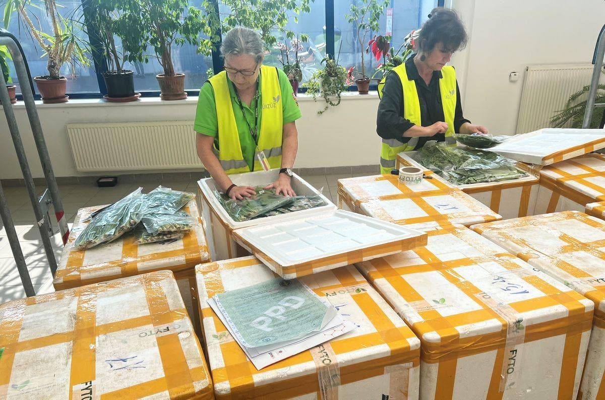 Plant Health Listings Get a Procedure Exporters Can Follow Plant Health Listings Get a Procedure Exporters Can Follow