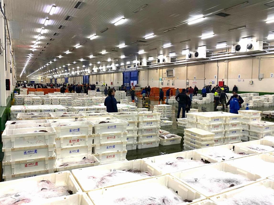 Seafood Imports Face a Tougher Catch Certificate Regime in Europe