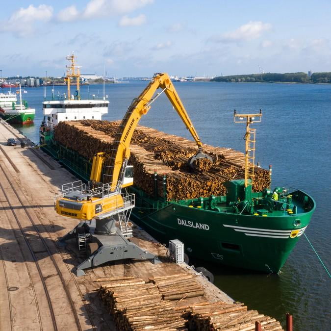 Timber Importers Meet a December Rulebook Nobody Has Tested Yet Timber Importers Meet a December Rulebook Nobody Has Tested Yet