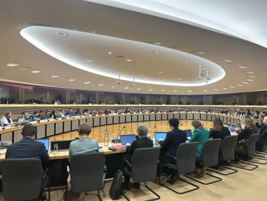 Will Merging Culture and Rights Money Leave NGOs Weaker
