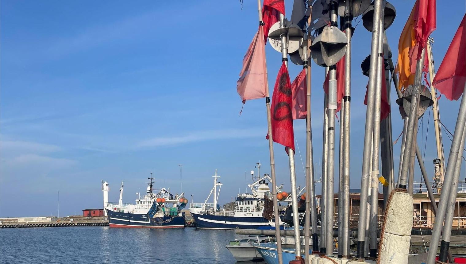 Baltic Quotas Lift Herring While Cod Stays Almost Closed Baltic Quotas Lift Herring While Cod Stays Almost Closed