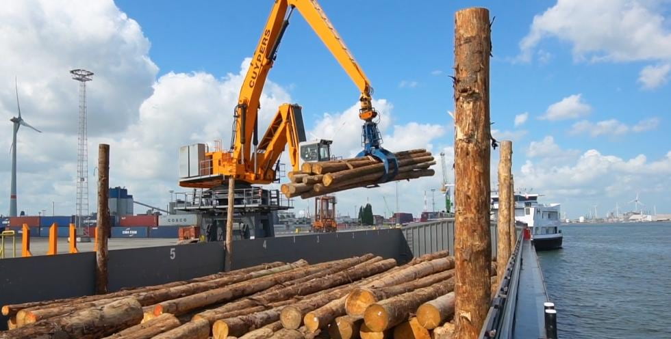 Deforestation Law Reaches Ports With a Shorter Product List