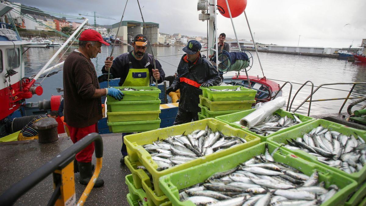 EMFAF Amendment Offers Fishers Simpler Rules and a Quota Cut Cushion
