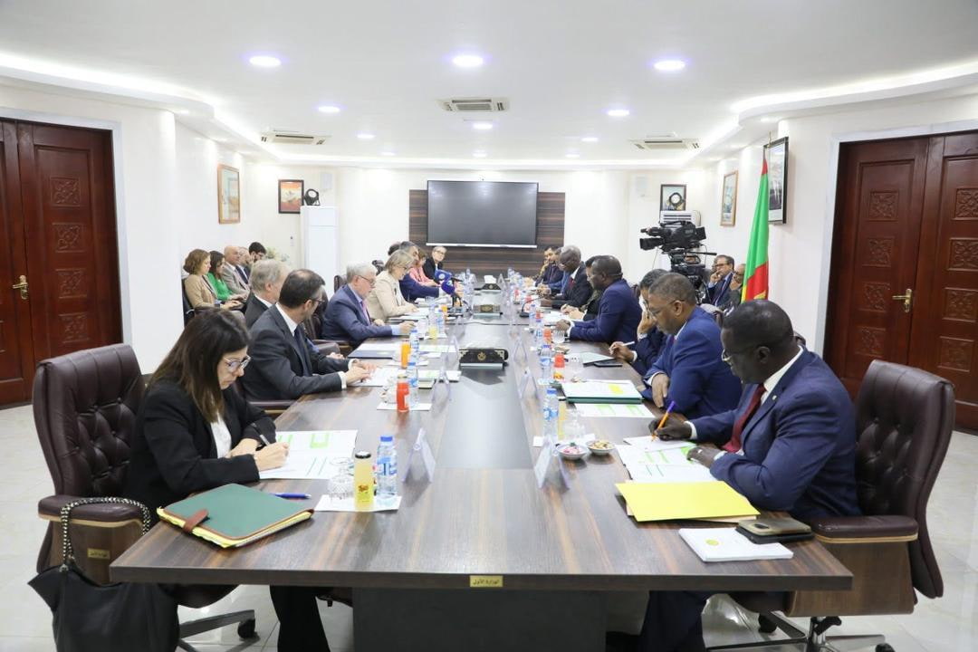 Europe Sends an Envoy to a Sahel It No Longer Has Missions In Europe Sends an Envoy to a Sahel It No Longer Has Missions In