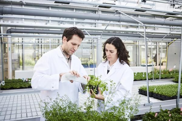 Europe’s Gene Editing Law Is Written but Not Yet Usable
