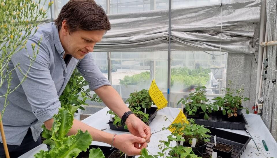 Gene Edited Crops Clear Their Last Legislative Hurdle