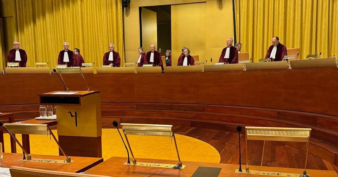 Judges Weigh Whether French Tax Groups May Count Foreign Losses