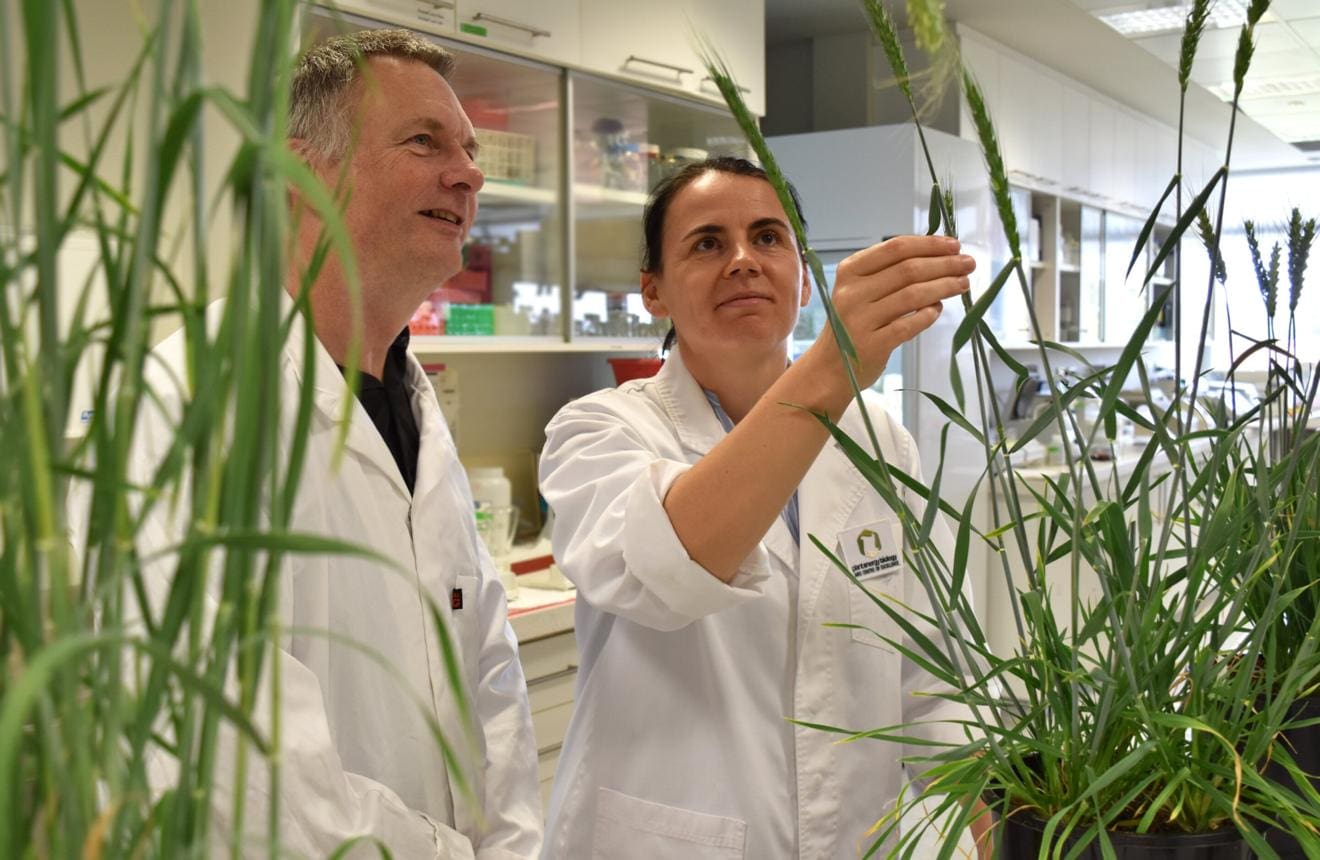 New Genomic Techniques Are Law in Europe but Not Until 2028