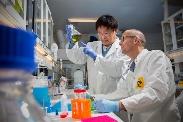 Researchers Waited All Year for a Law That Slipped Again