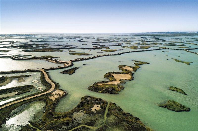 Why Twenty Capitals Let the Nature Restoration Deadline Pass Why Twenty Capitals Let the Nature Restoration Deadline Pass
