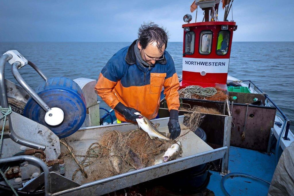 Baltic Sea Fishing Quotas For 2027 Propose Deep Cuts To Cod Catches Baltic Sea Fishing Quotas For 2027 Propose Deep Cuts To Cod Catches