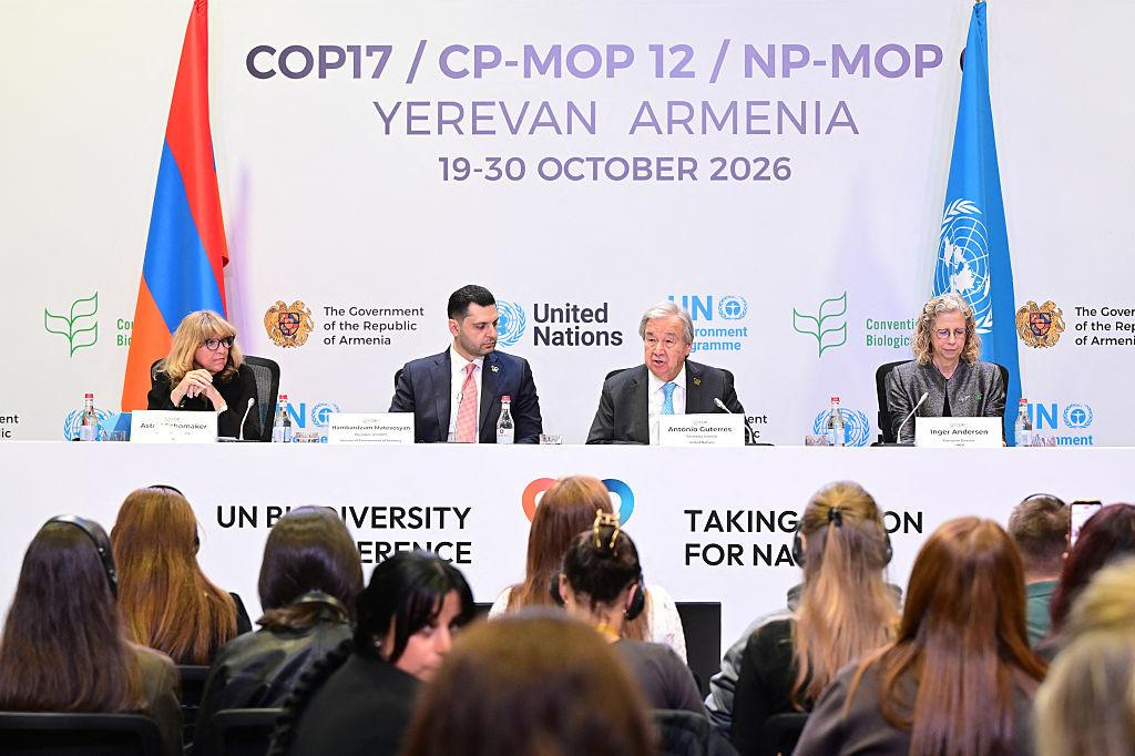 COP17 Biodiversity Review Audits Global Nature Pledges