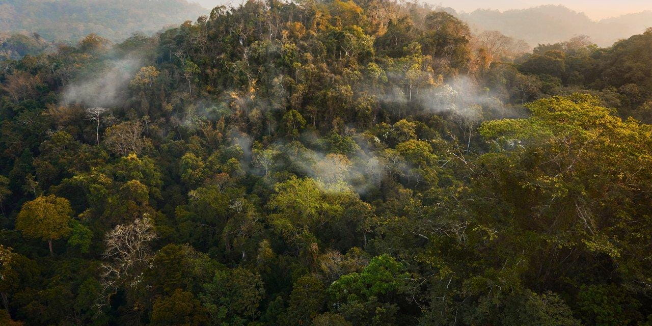 COP17 Biodiversity Summit Tests EU Pledge To Protect 30% Of Nature COP17 Biodiversity Summit Tests EU Pledge To Protect 30% Of Nature