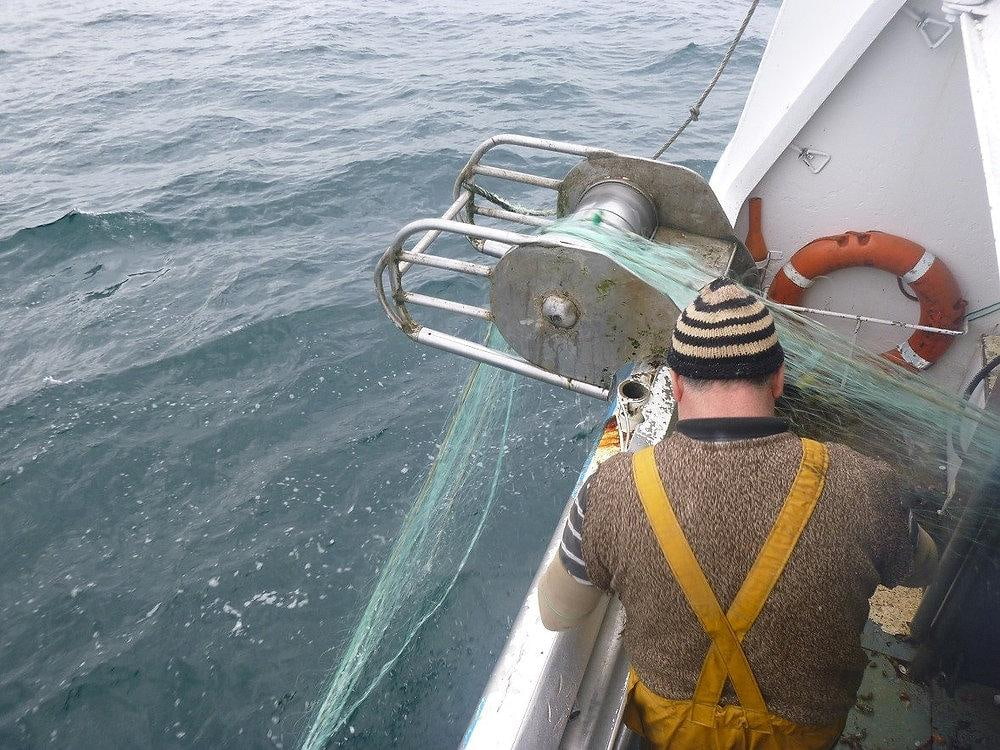 Cetacean Bycatch Concerns Bring Portugal A Formal Commission Warning
