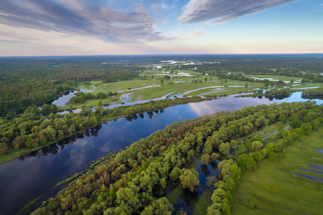 Competitive By Nature Report Ties Europe's Growth To Ecosystems Competitive By Nature Report Ties Europe's Growth To Ecosystems