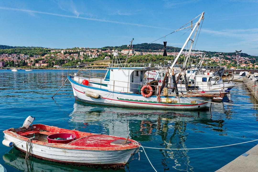 Fuel Price State Aid Reaches Slovenian Fishing And Farming Firms Fuel Price State Aid Reaches Slovenian Fishing And Farming Firms