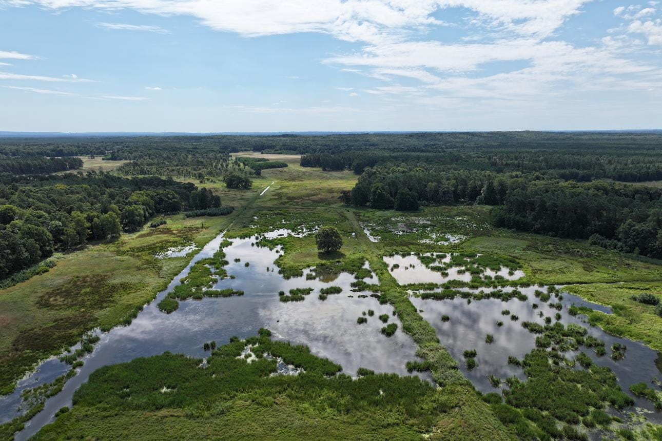 Member States File Draft Nature Restoration Plans On Deadline Member States File Draft Nature Restoration Plans On Deadline