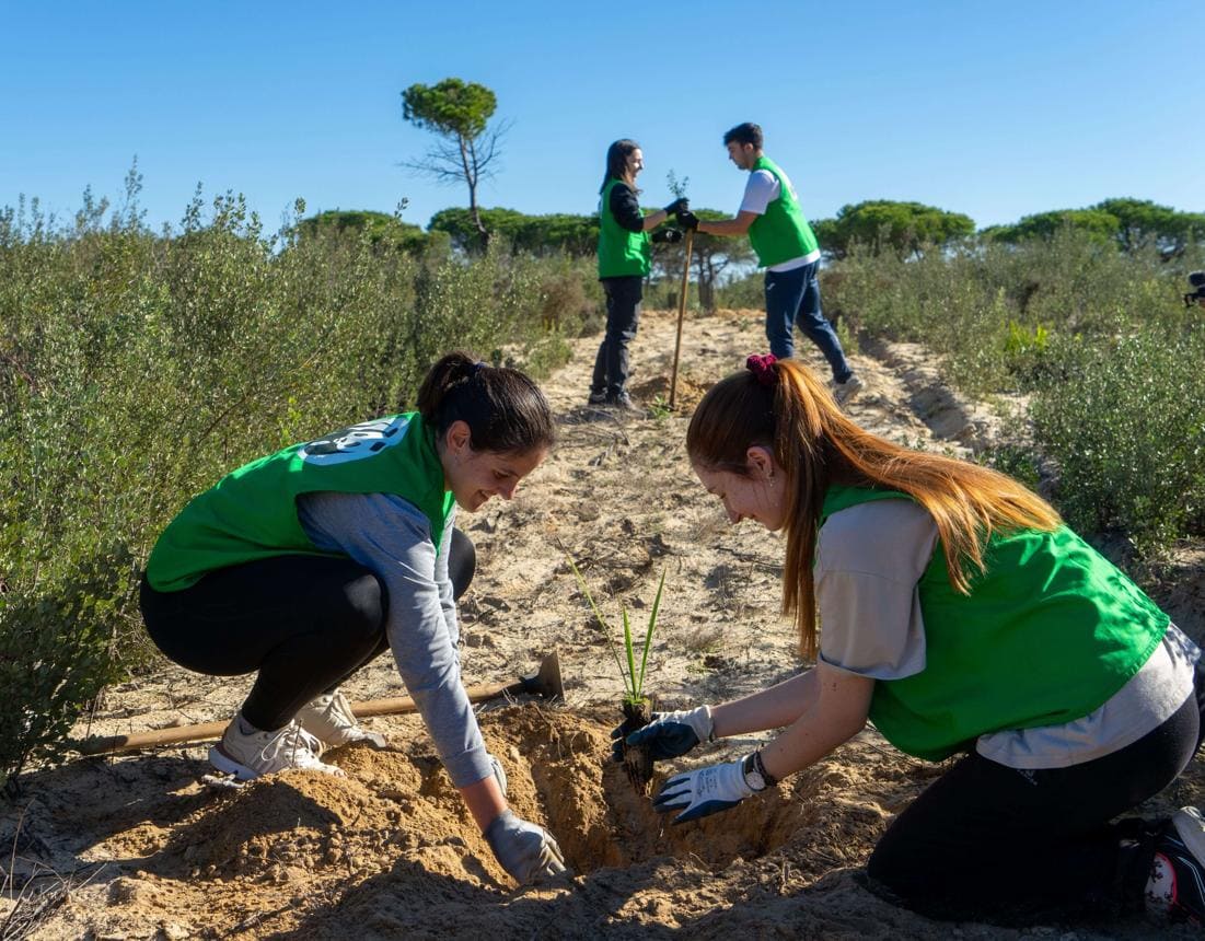 Nature Restoration Plans Arrive From Only Seven Of 27 Capitals