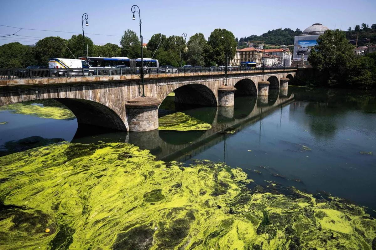 River Basin Management Plans Expose Water Pollution